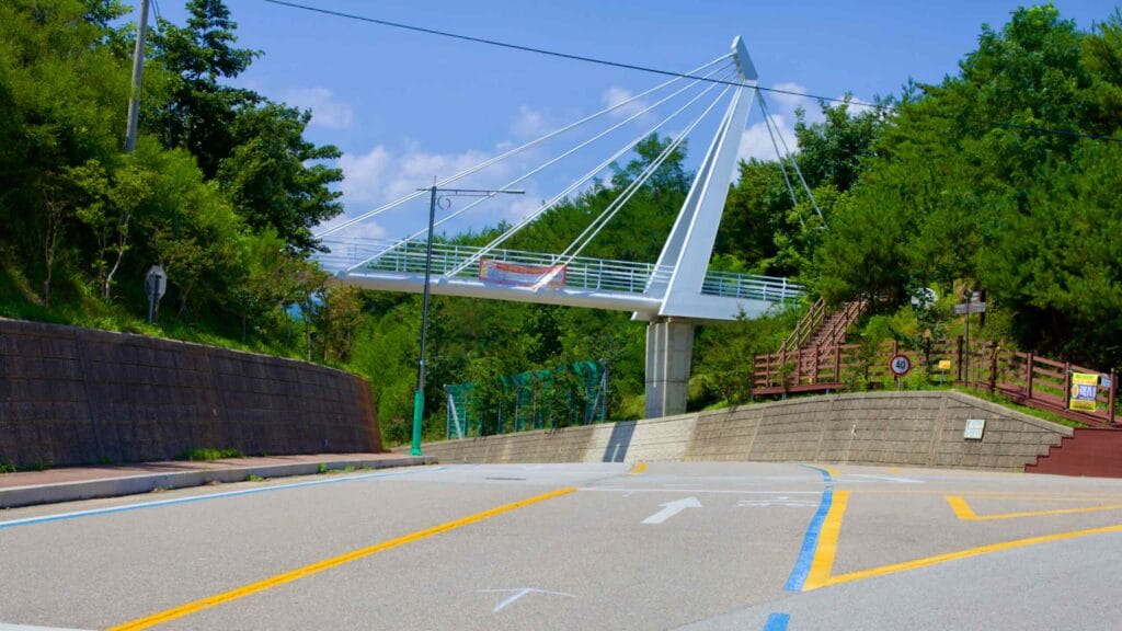 On a sunny summer day, a slender white cable-stayed pedestrian bridge spans over an empty road near Hwajinpo Lake.