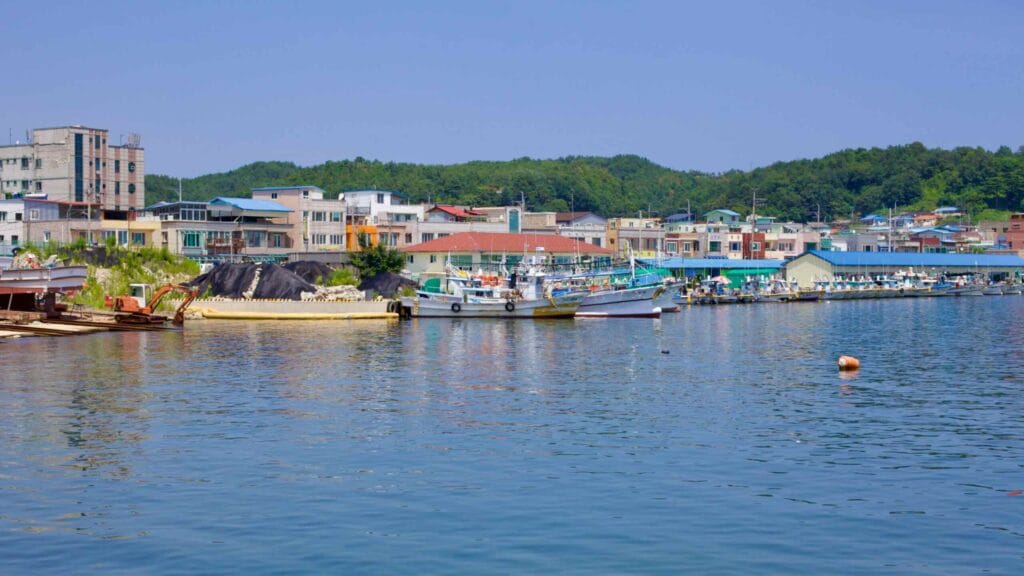 Midday at Geojin Port during summer showcases boats moored along the docks.