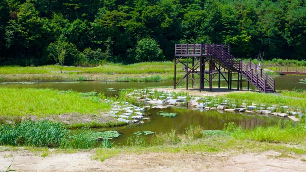 Stairs lead to a freestanding viewing platform at the edge of Hwajinpo Lake.