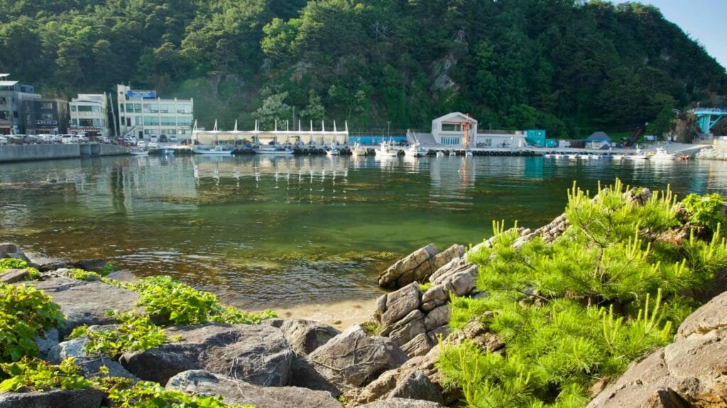 The calm waters of Simgok Port reflect the surrounding buildings and green hills.