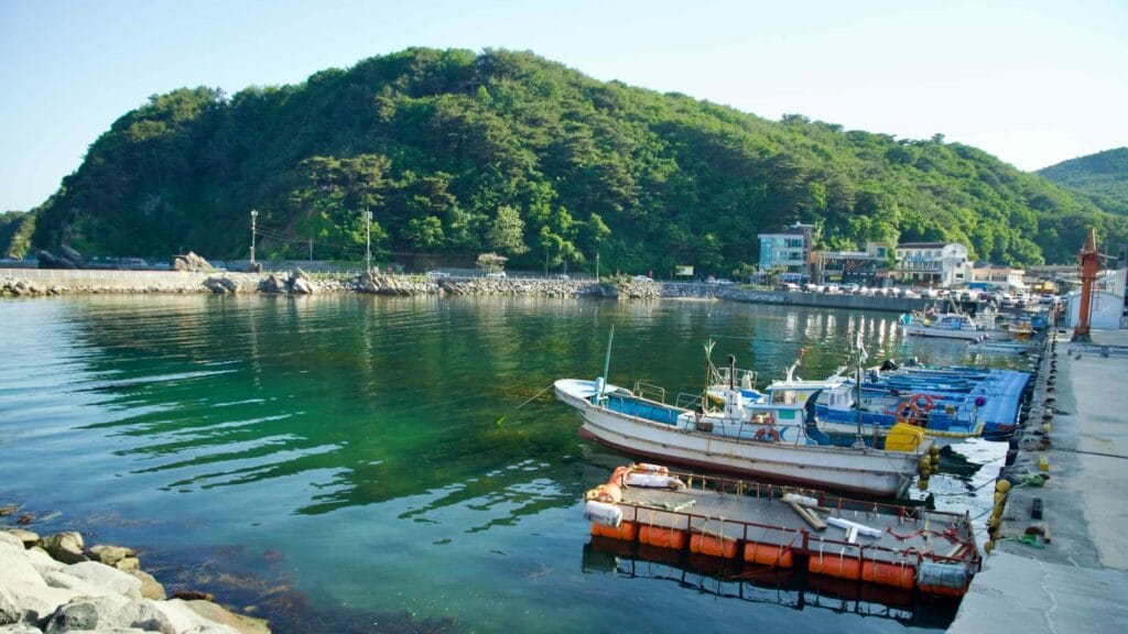 Fishing boats rest in the calm waters of Simgok Port. Green hills and quaint buildings provide a serene backdrop.