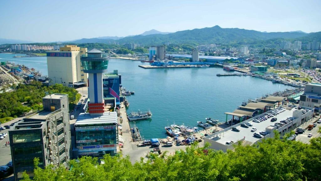 A view of Mukho Port from the observation deck on Nongoldam Street, showcasing the bustling harbor.