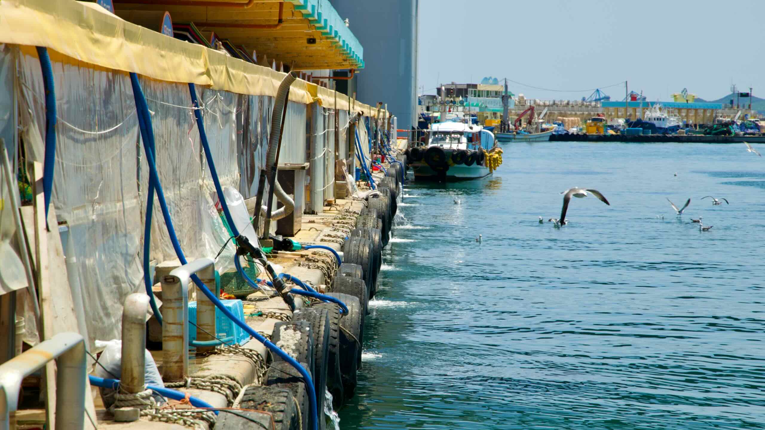 The exterior view of Samcheok Port Raw Fish Center, with pipes and hoses leading to the water.
