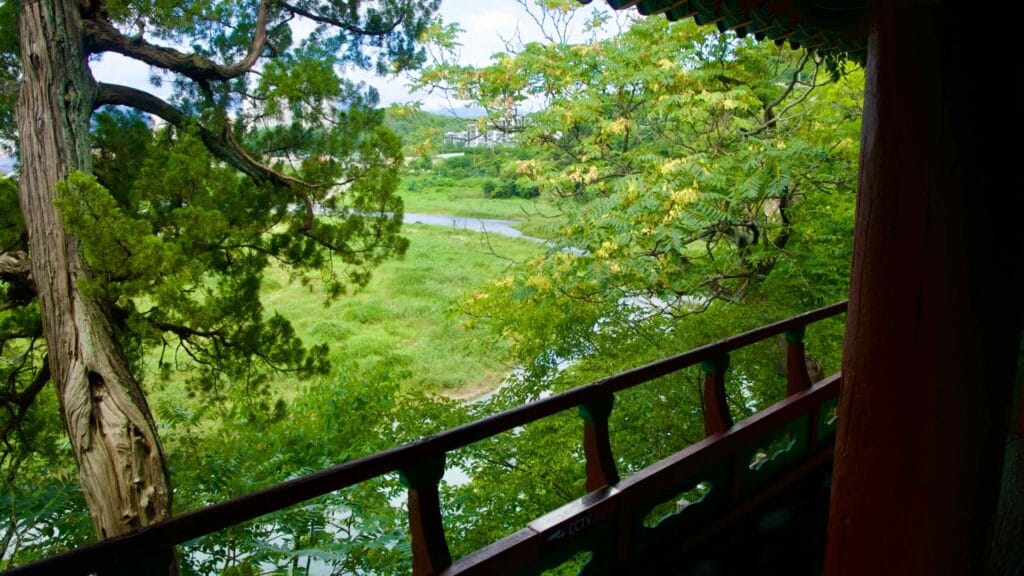 harmony with nature