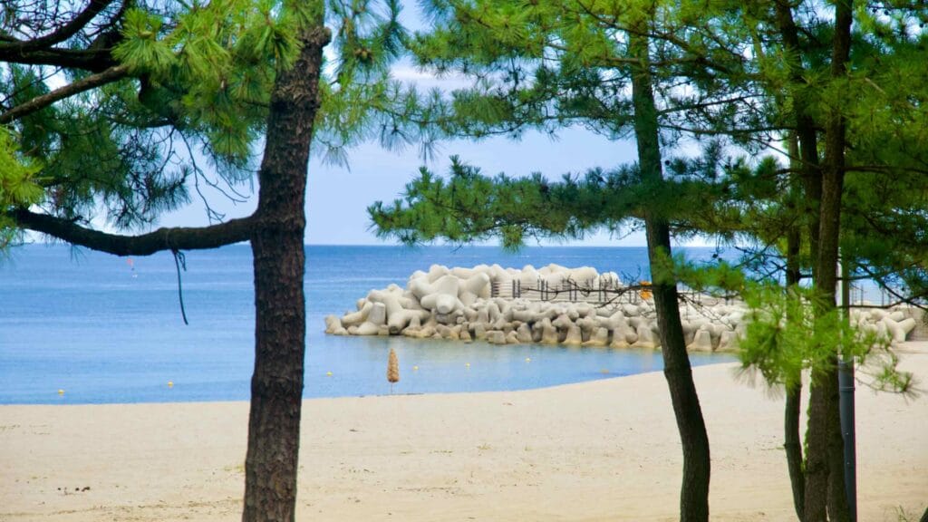 beach