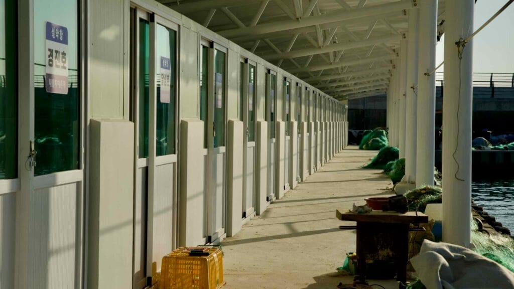 A line of small restaurants along Seorak Port, ready to serve fresh seafood to visitors, with fishing nets and equipment stacked nearby, showcasing the port’s vibrant fishing community.
