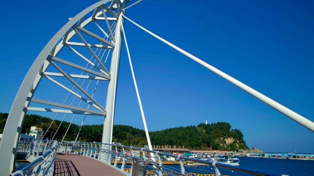 A striking architectural close-up of the Susan Port Pedestrian Bridge, showcasing its sleek modern design against a backdrop of blue skies and the bustling harbor below.