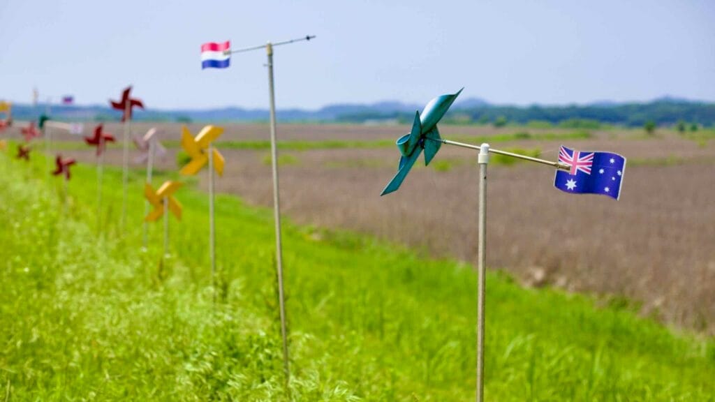 Colorful windmills and small international flags line Windmill Road at Yongan Ecological Wetland