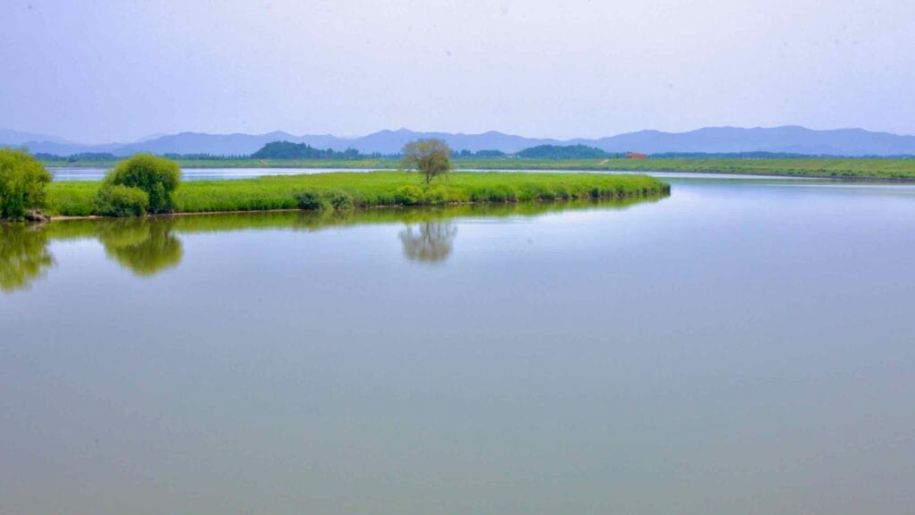 A tranquil view of the Geum River, reflecting a narrow strip of lush green land with a lone tree