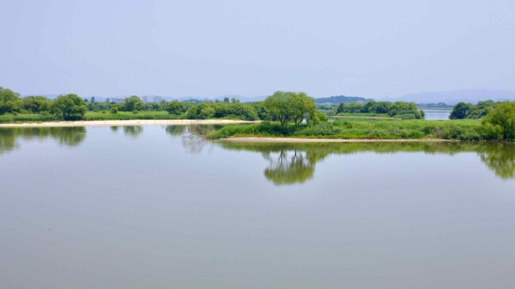 A section of the Geum River reflects a small green island.