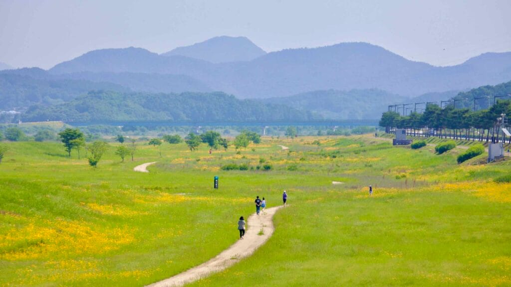 A dirt path winds through green fields dotted with yellow wildflowers, as people walk along the scenic route with distant