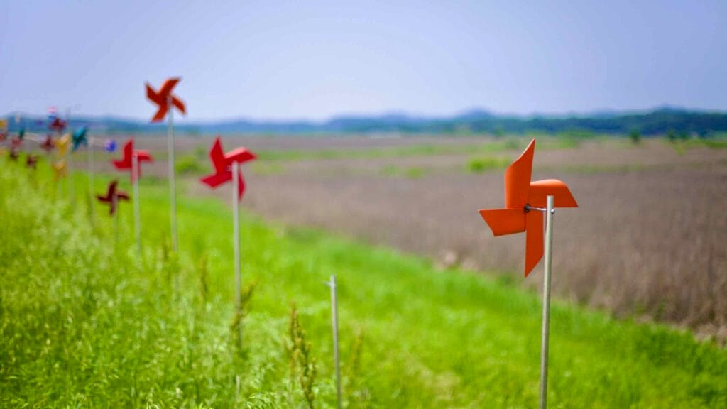 Small decorative windmills line a grassy path at Yongan Ecological Wetland Park, a nature reserve