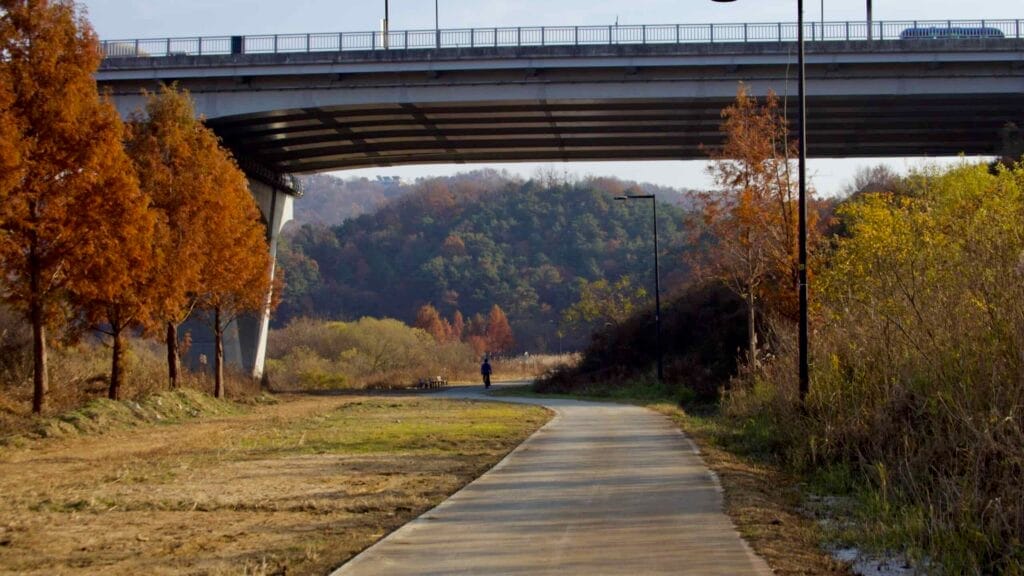 autumn colors