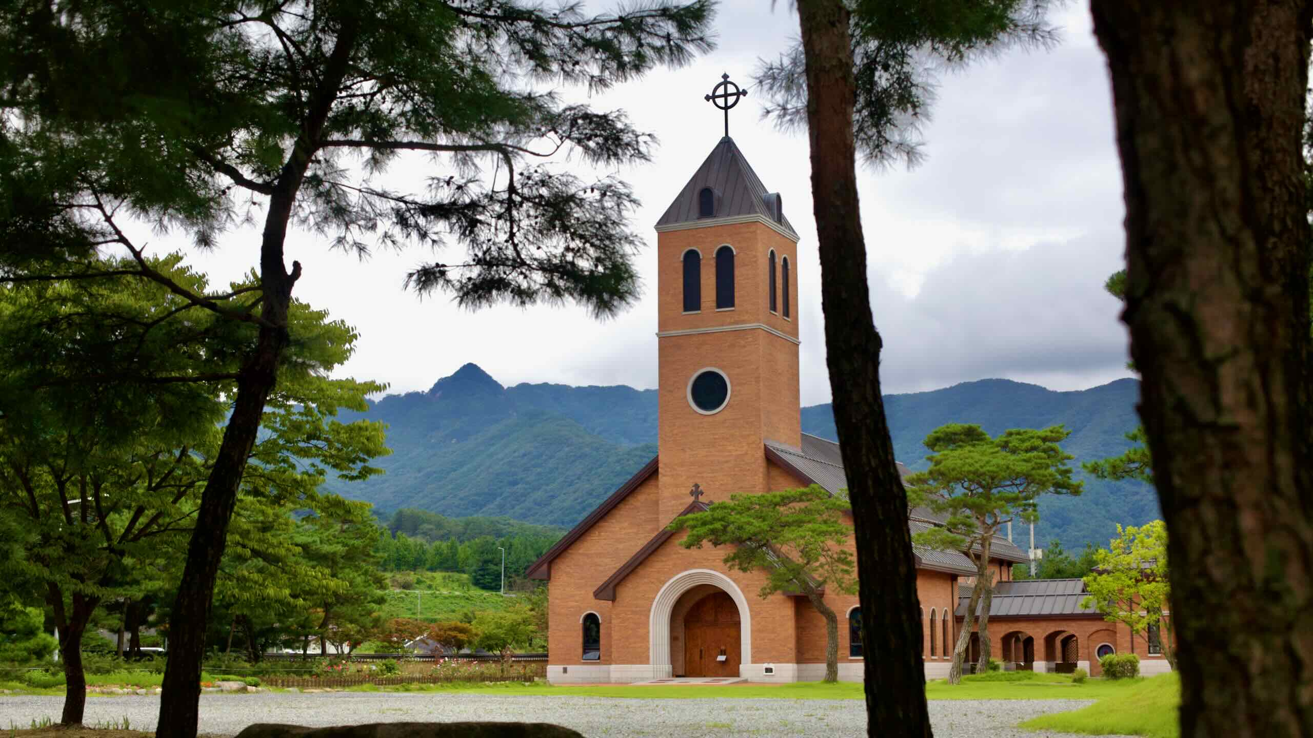 Yeonpung Holy Land Cathedral Framed by Trees church tower