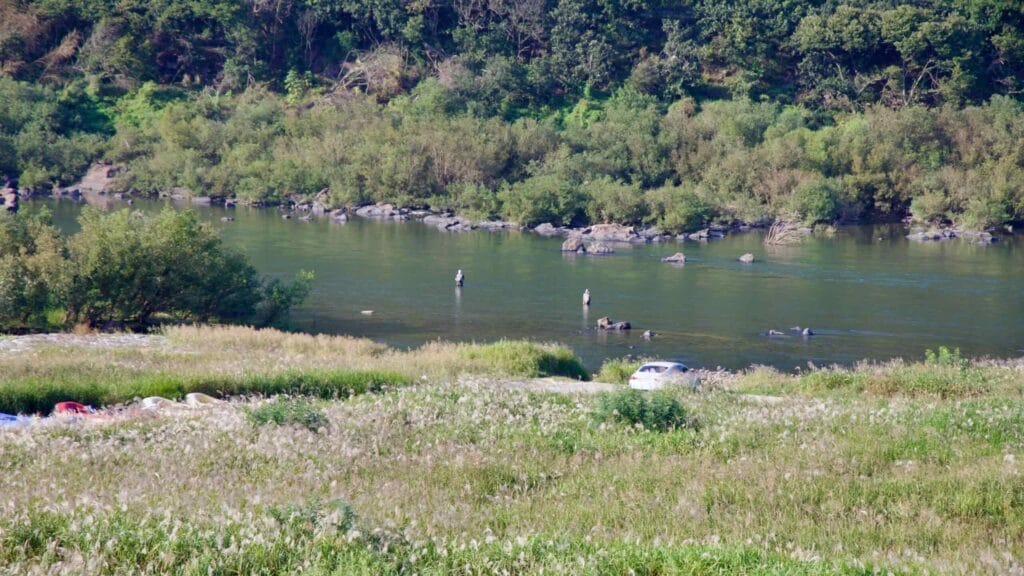 wild river