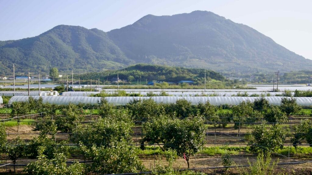 sustainable farming