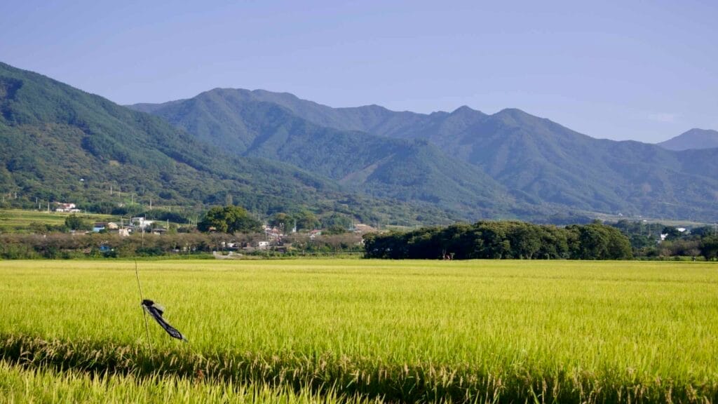 sustainable farming