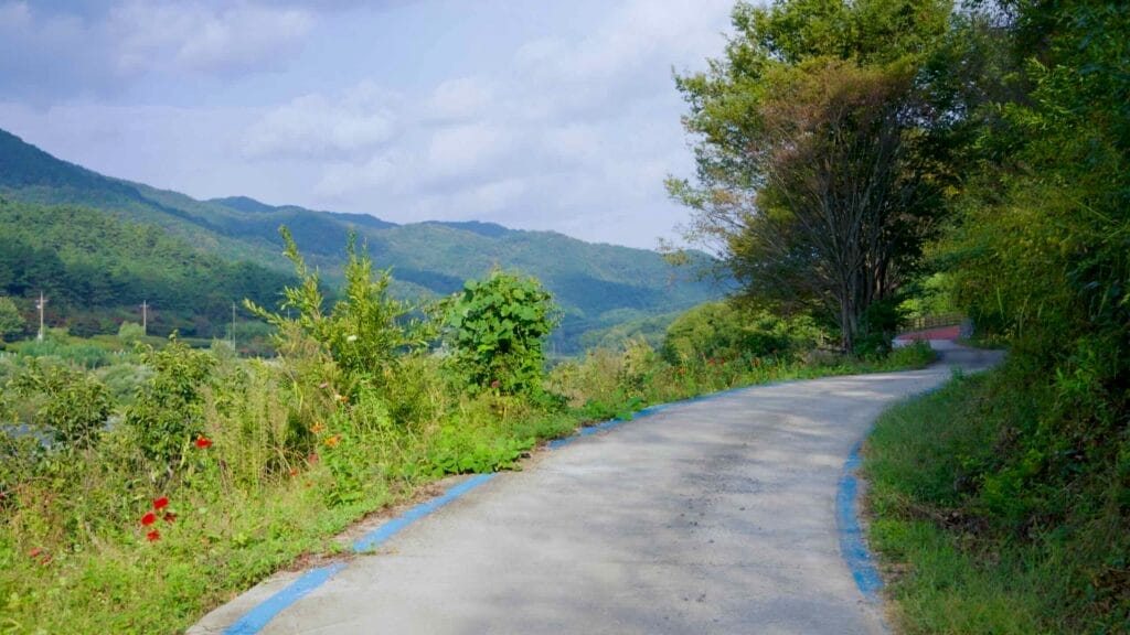 scenic drive
