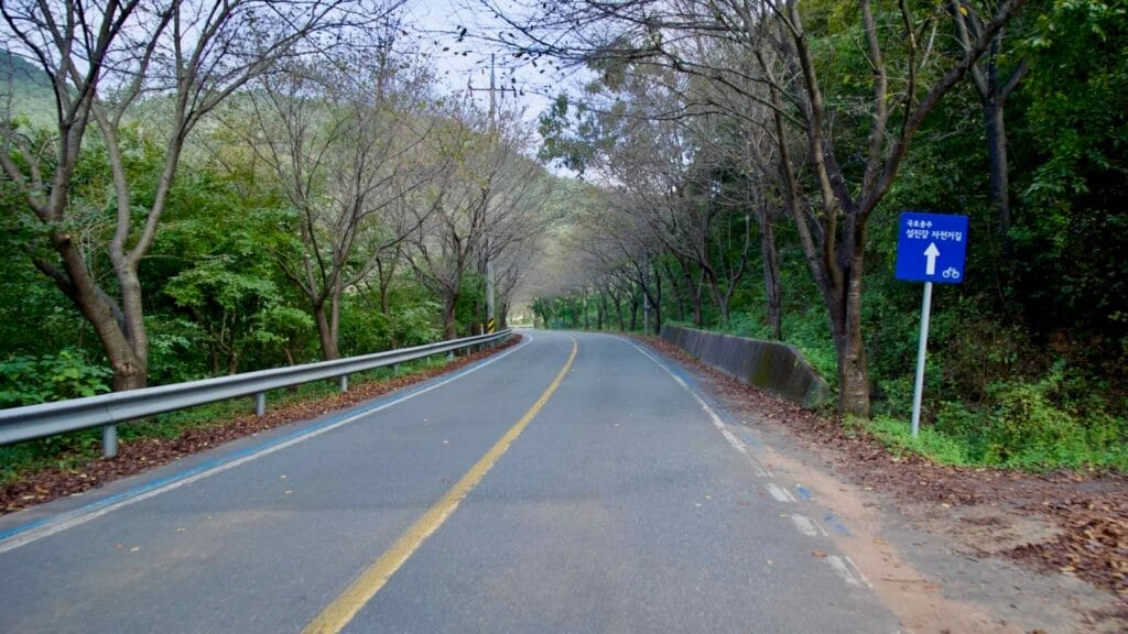 autumn road
