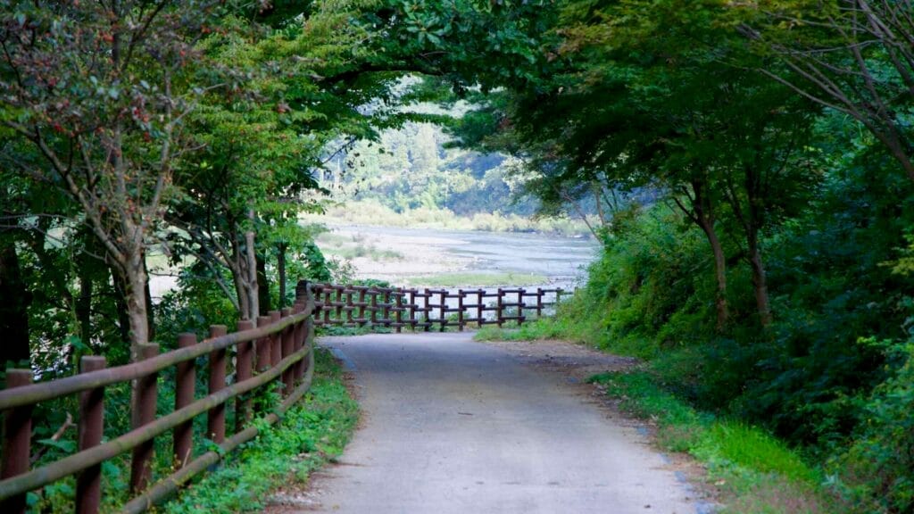 untouched nature