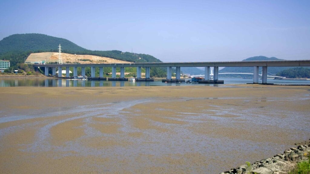 The Taein Bridge spans the Seomjin River with exposed tidal flats beneath it.