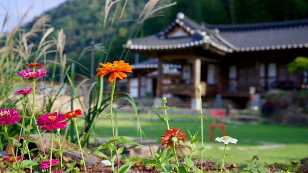 Hanok house blending traditional Korean architecture with modern outdoor seating.