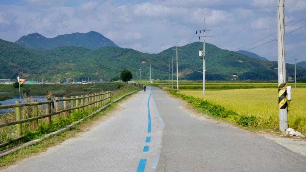 Cyclist on the Seomjingang Bike Path by rice fields and the river, framed by green mountains.