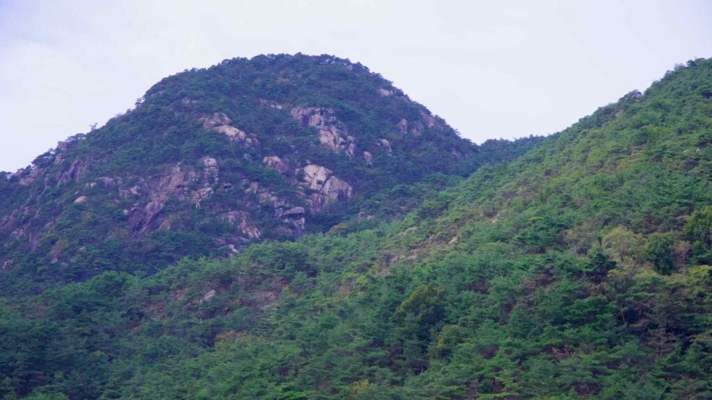 Pine-forested mountain with rock formations, highlighting the natural beauty of the Seomjingang region.