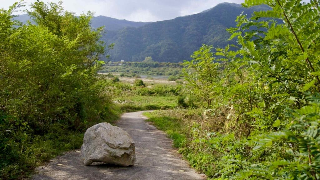 pathway