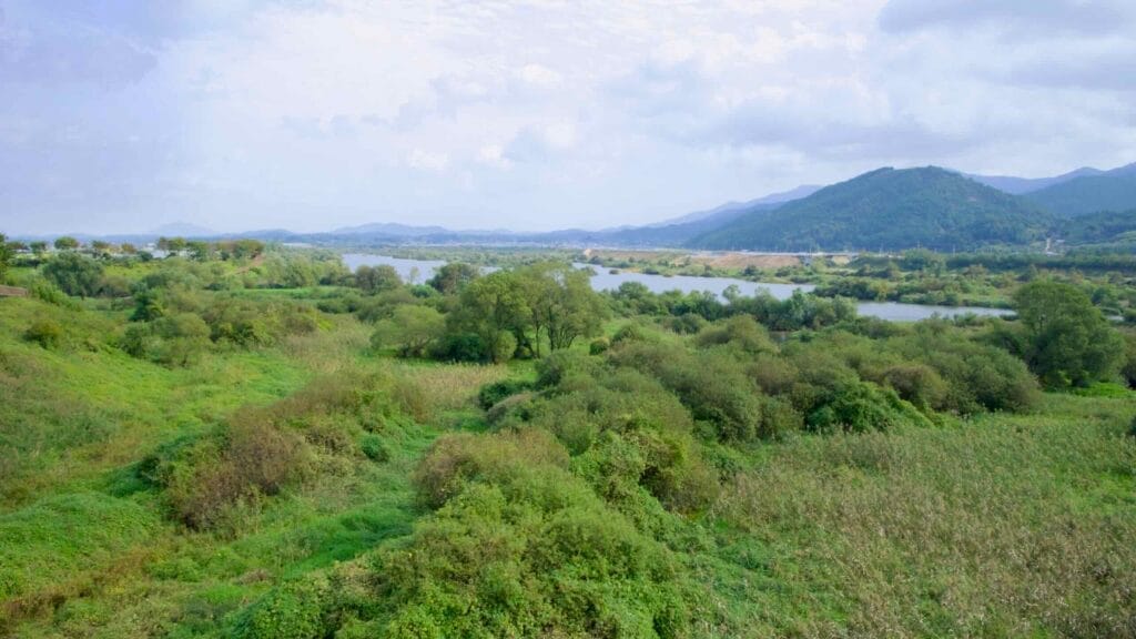 Panoramic view of the Seomjin River winding through lush greenery.