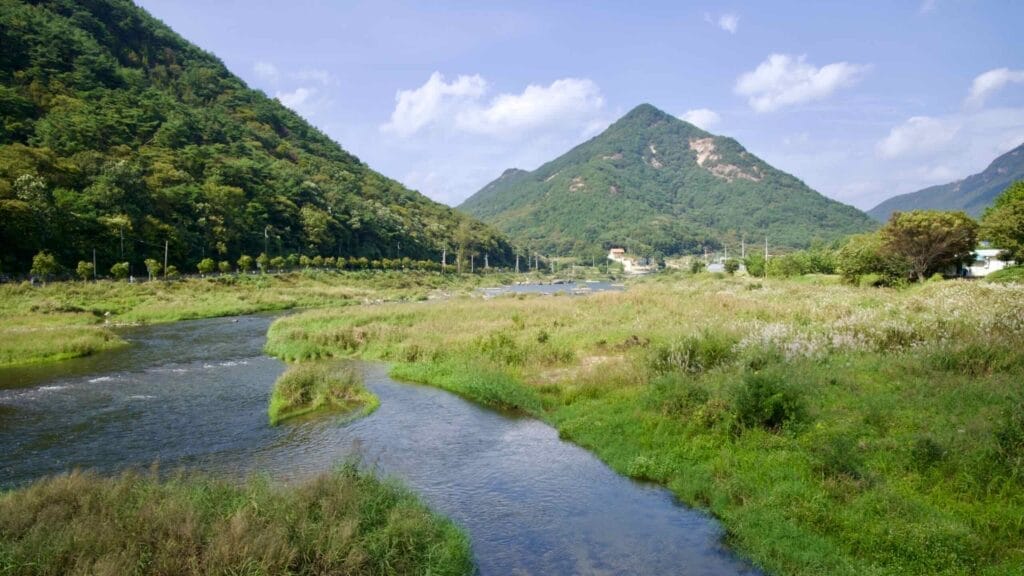 untouched nature