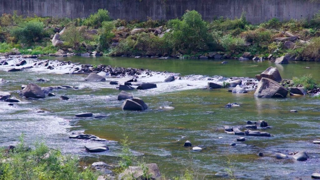 untouched nature