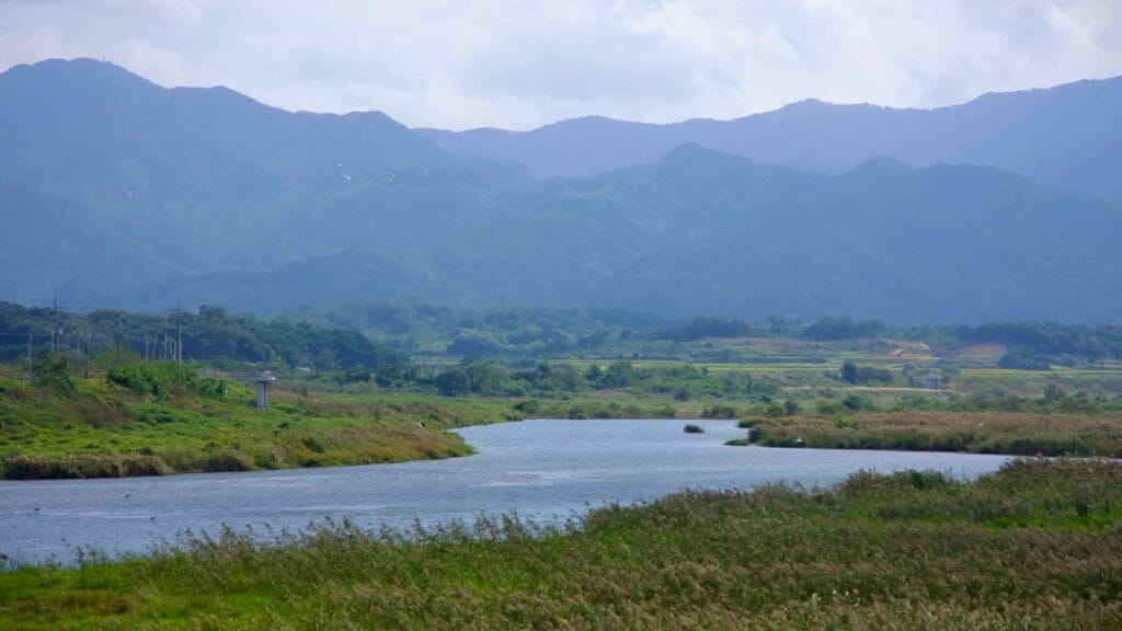 Misty mountains frame the Seomjin River as it winds through lush wetlands, with birds soaring above.