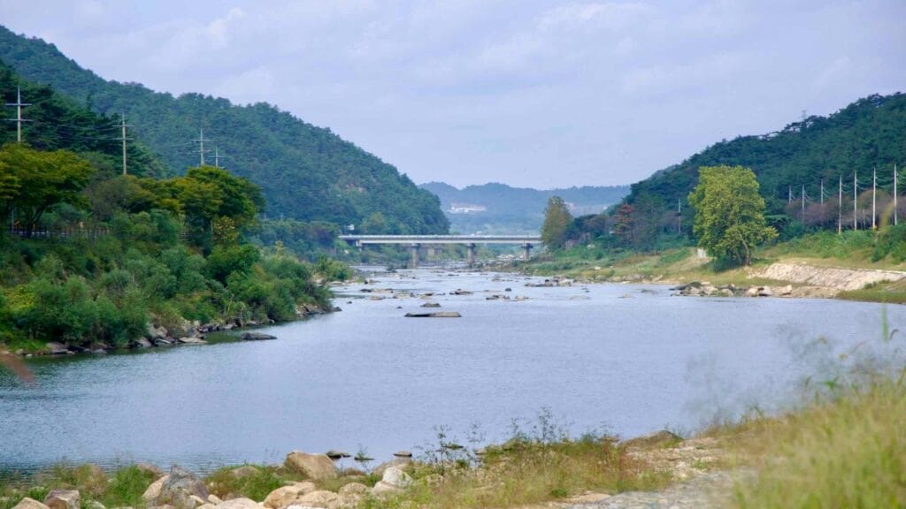 The Seomjin River winds through a valley flanked by forested hills, with a bridge in the distance. The river's rocky bed and surrounding greenery highlight its natural beauty.