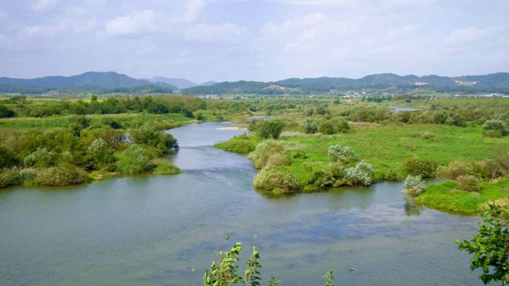 The Seomjin River winds through a lush green landscape, creating small islands and wetlands. The river serves as a vital natural resource for the surrounding rural communities.