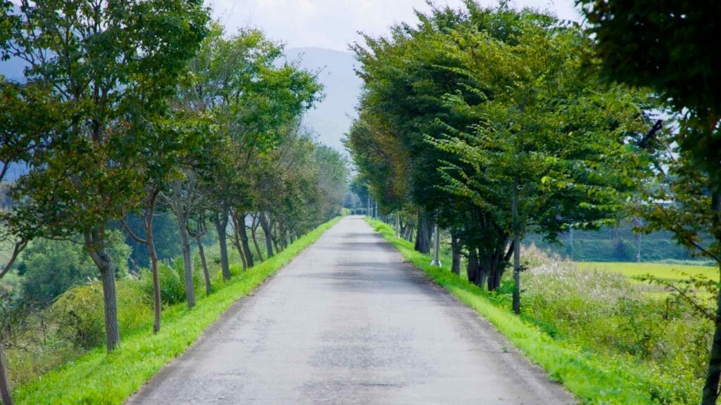 road trip