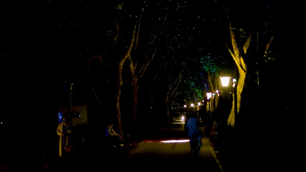 A nighttime view of Gwanbangjerim Forest with glowing streetlights and projected lights creating