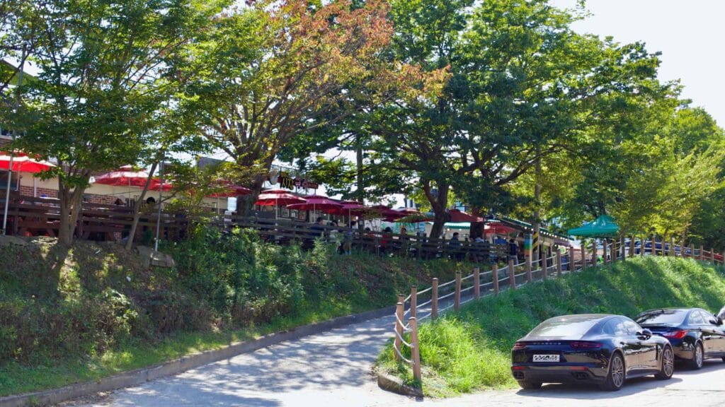 Tree-shaded outdoor dining area near Meta Provence with red umbrellas.