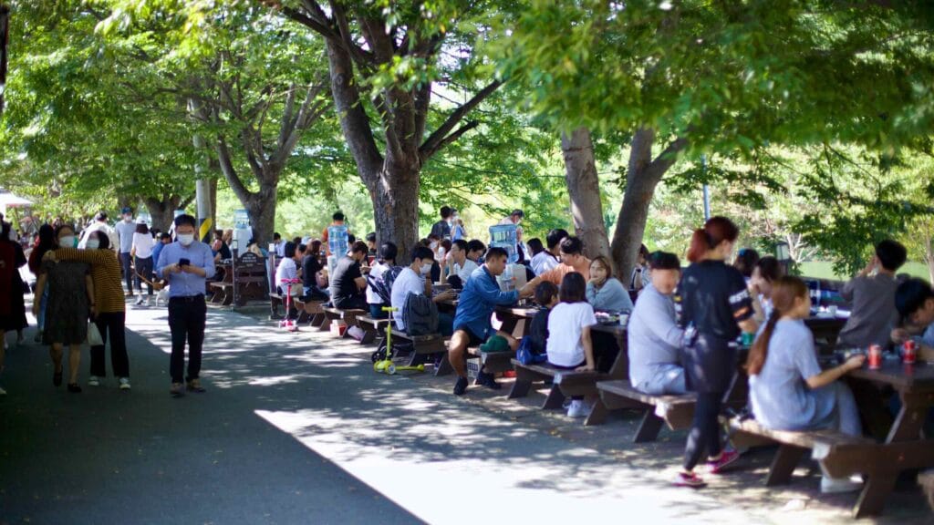 Shaded picnic tables along Damyang Noodle Street, known for traditional Korean noodles.