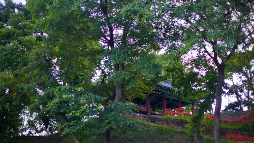 Historic Pungyeong Jeong Pavilion atop a hill, surrounded by dense trees and spider lilies.
