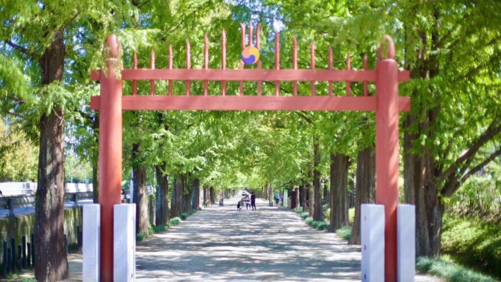 Traditional red hongsalmun contrasts with the lush canopy of Metasequoia Road.