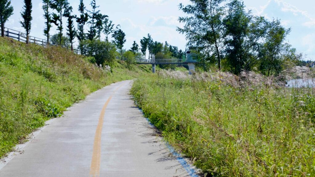 Yeongsangang Bike Path winds through trees along the river toward a pedestrian bridge.