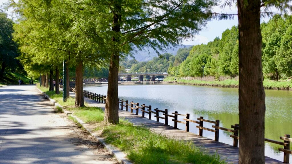 Tree-lined path in Gwanbangje Forest runs alongside the calm Gwanbangcheon Stream.