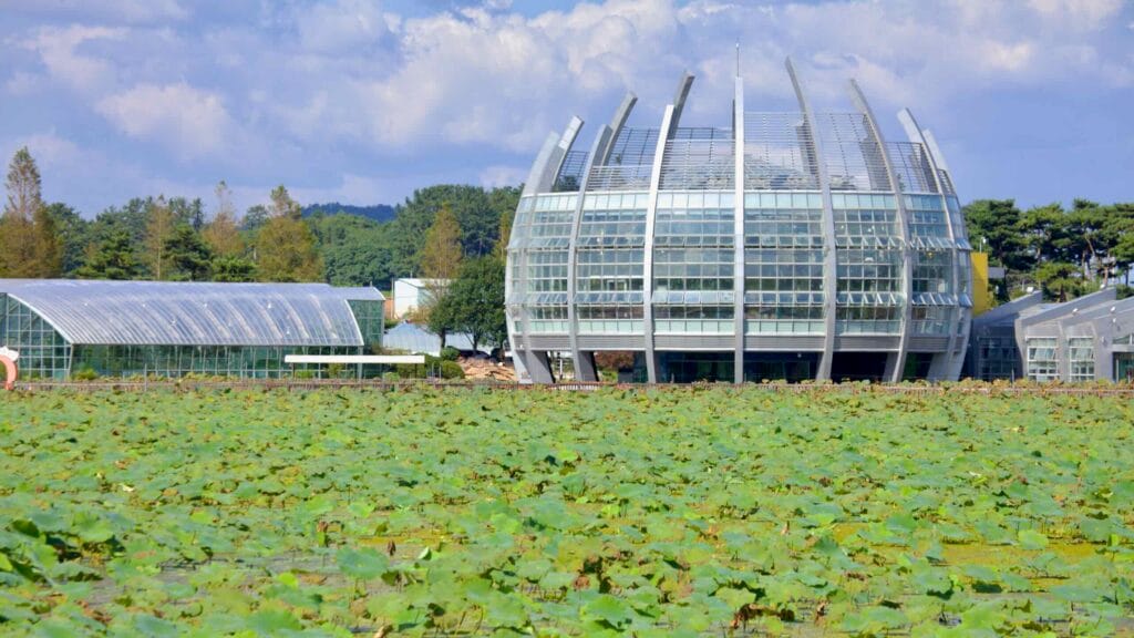 The Floating Glass Greenhouse, an architectural centerpiece at Hoesan White Lotus Habitat, overlooks a vast lotus pond.