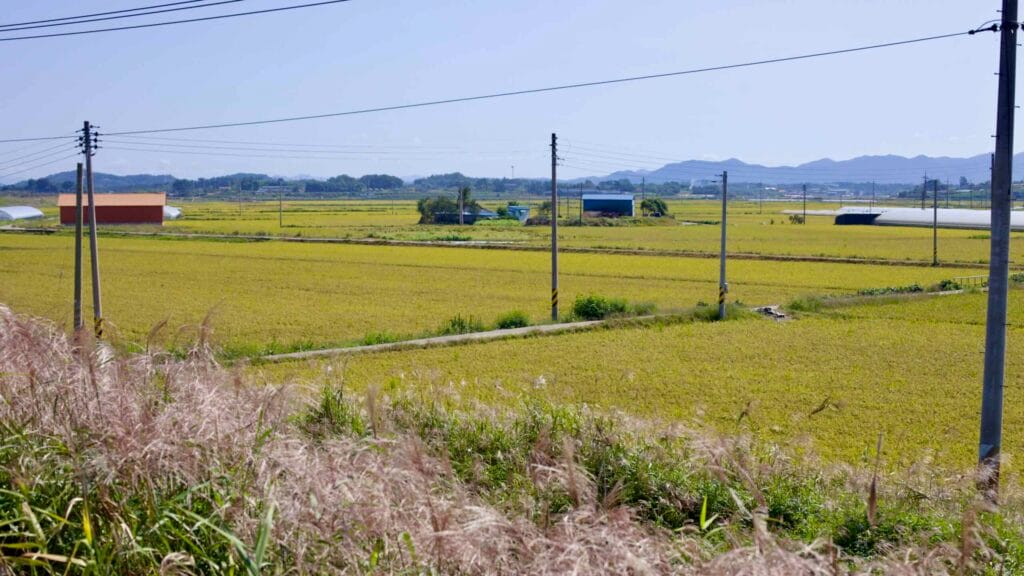 sustainable farming