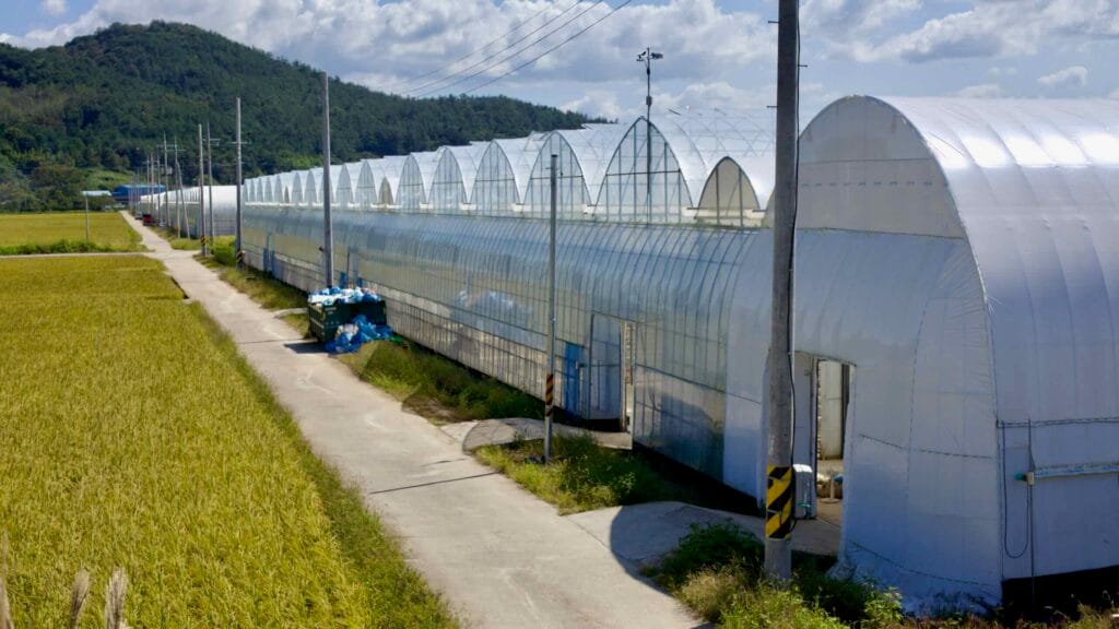 farm infrastructure