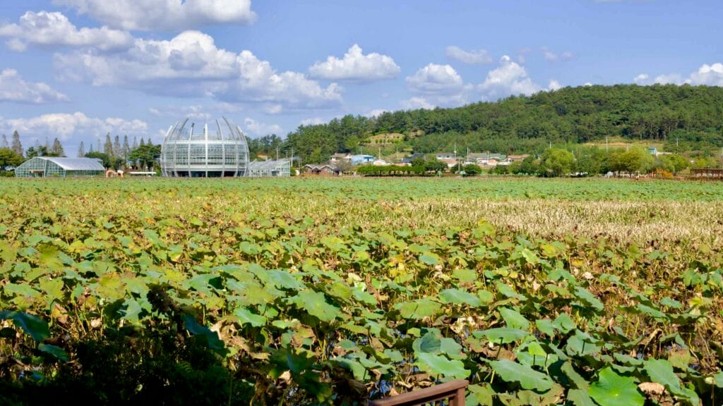 Vast Hoesan White Lotus Habitat stretches toward the floating glass greenhouse.