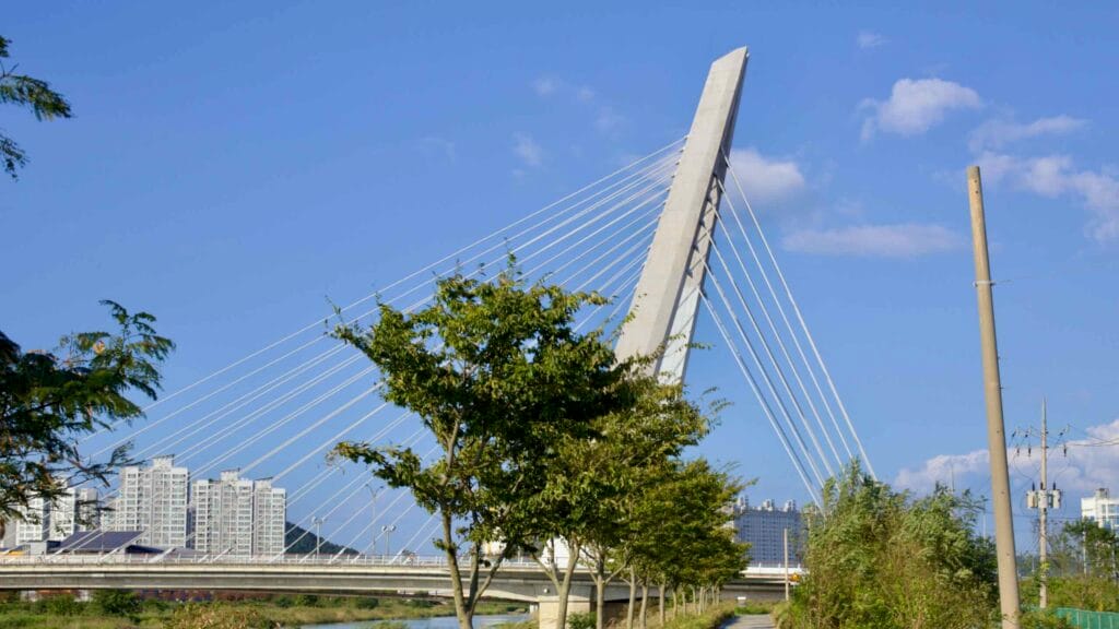 Namchang Bridge, a cable-stayed structure, rises above the Yeongsan River.