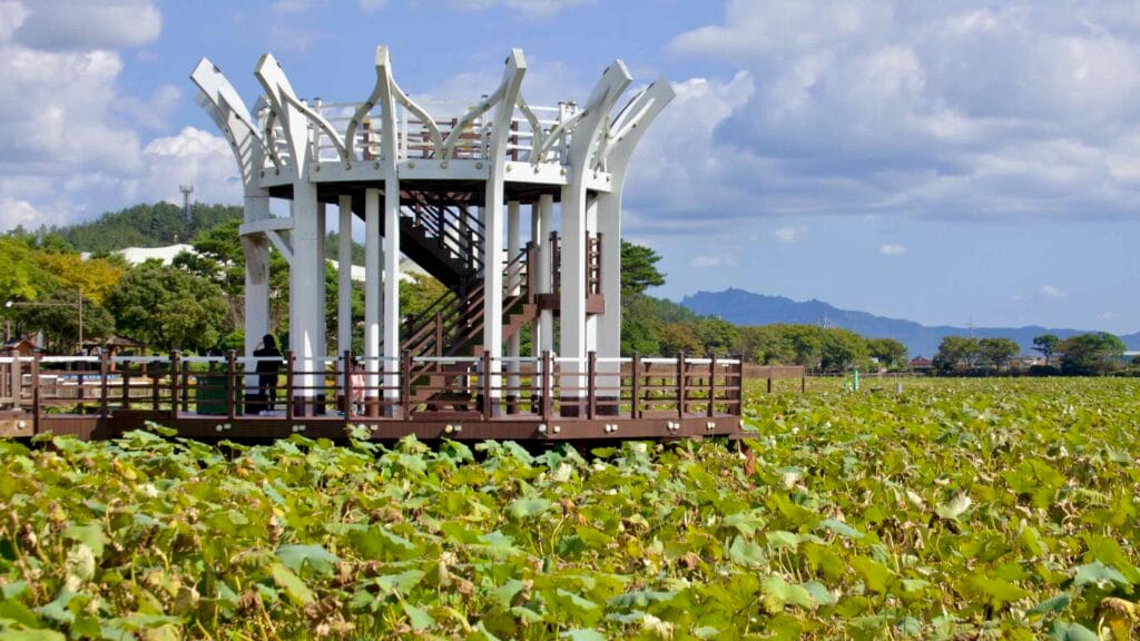 White observation deck at Hoesan White Lotus Habitat offers views of the wetland and mountains.
