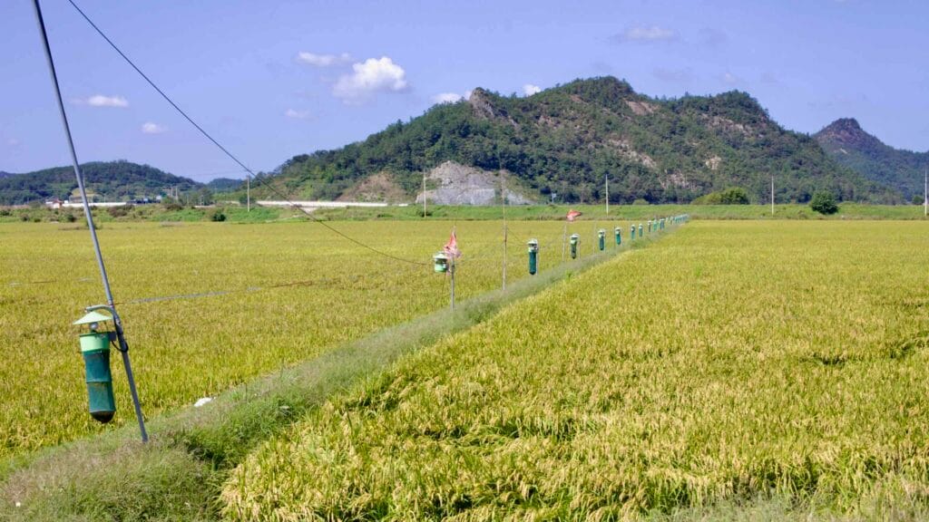 field maintenance